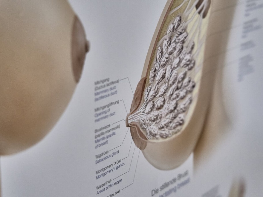 Impressionen - Privatpraxis Dr. Fischer & Kirschbaum - Fachärztinnen für Frauenheilkunde und Geburtshilfe